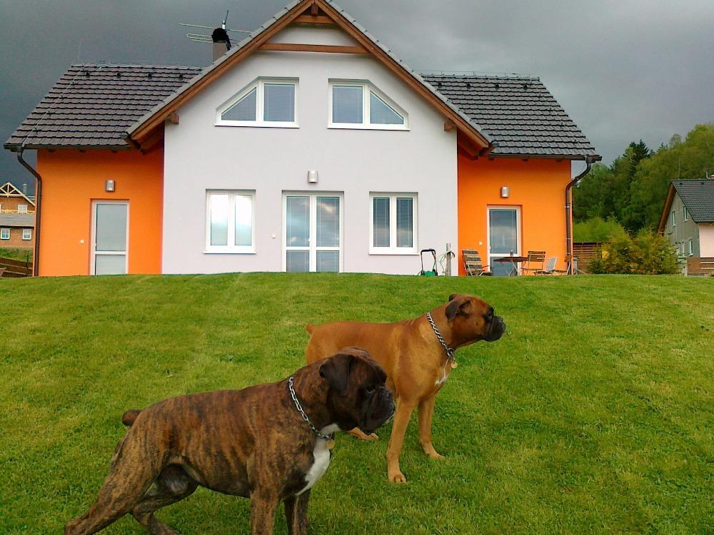 Apartmán U Dvou boxerů foto 1