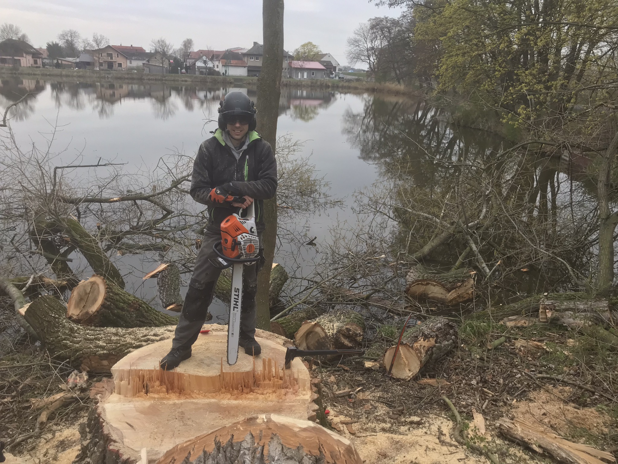BERAN - Rizikové kácení stromů, údržba zeleně a výškové práce foto 4
