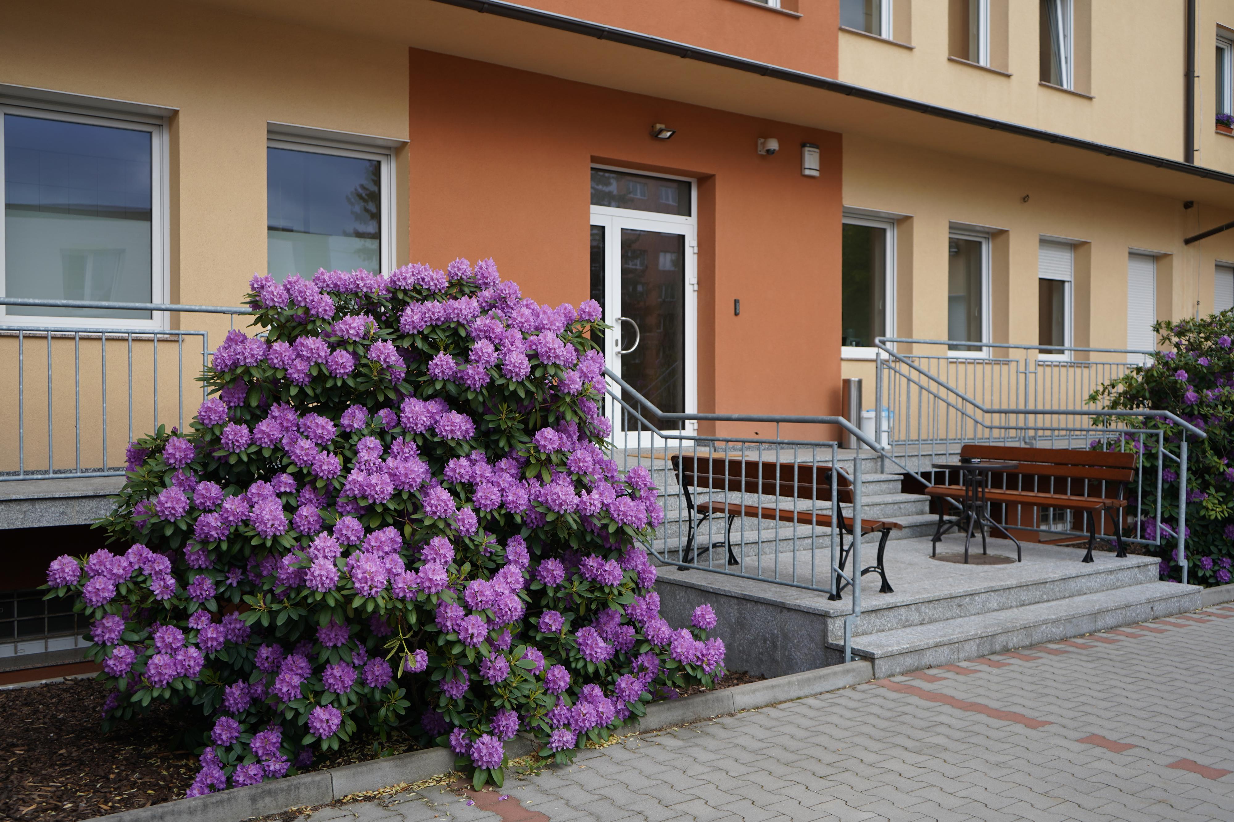 NBN Elektronik s.r.o. foto 2