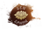 logo Fasay