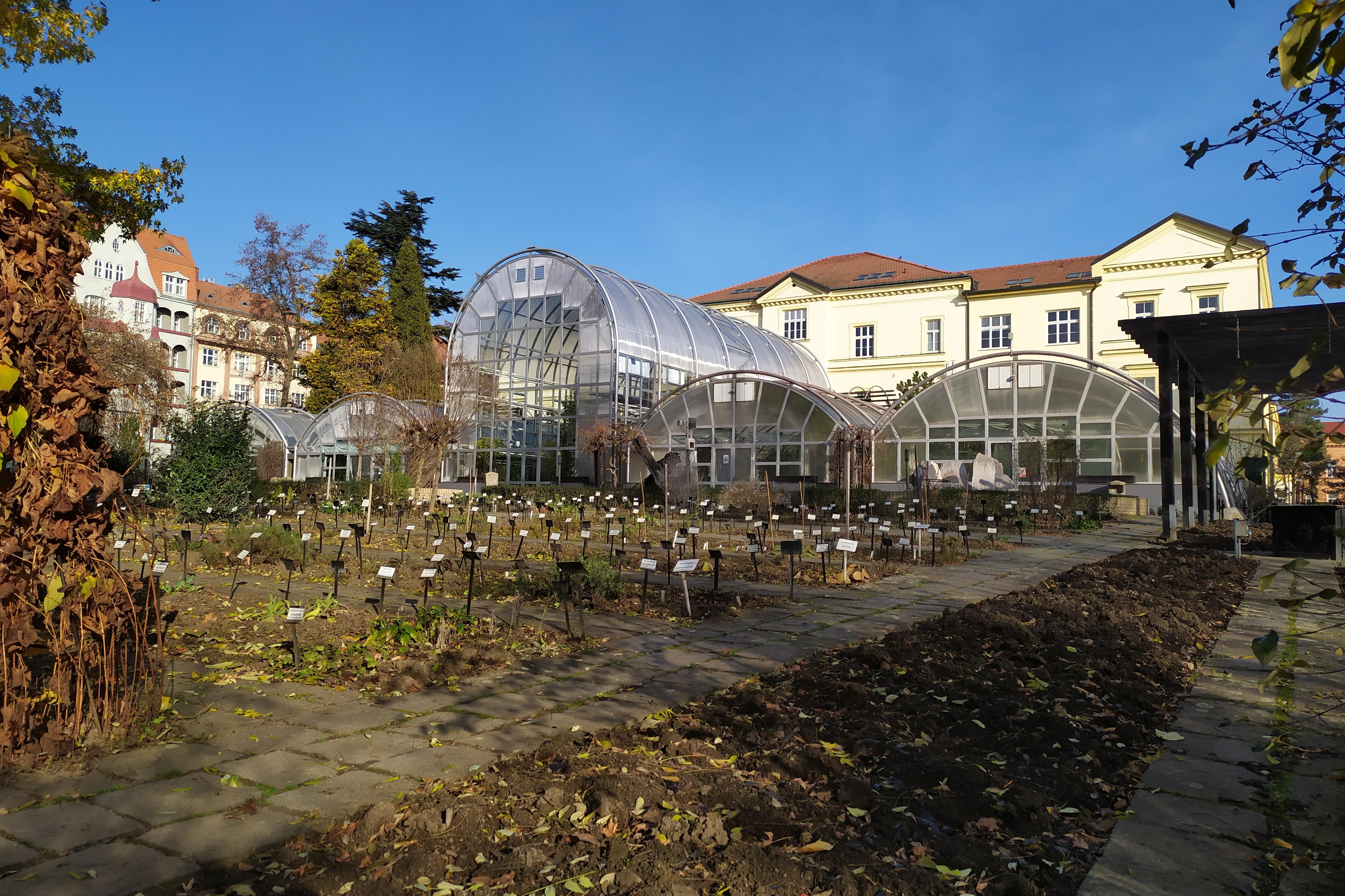 Botanická zahrada Přírodovědecké fakulty Masarykovy univerzity foto 2