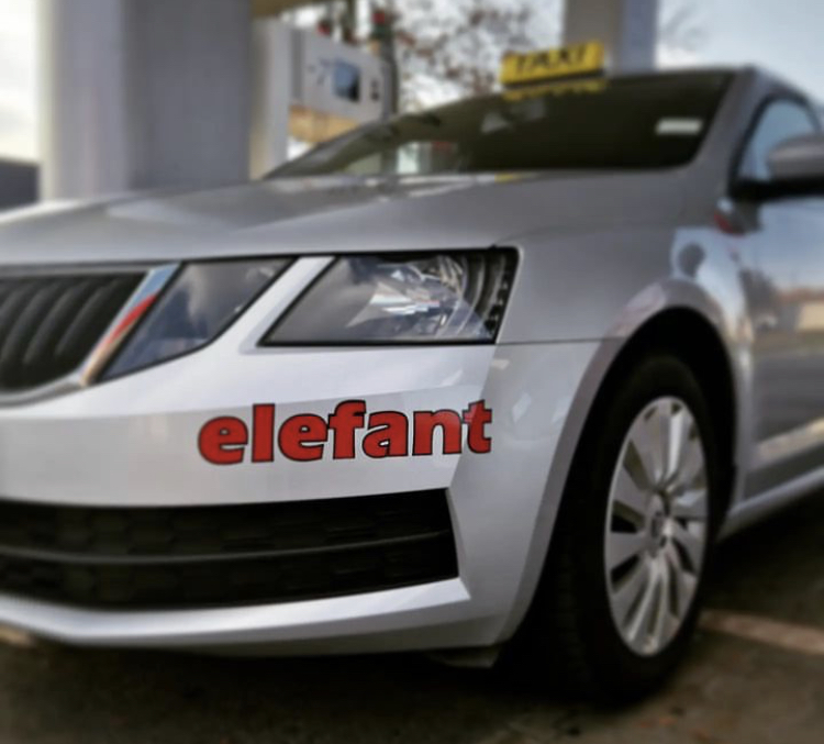 TAXI Elefant foto 2