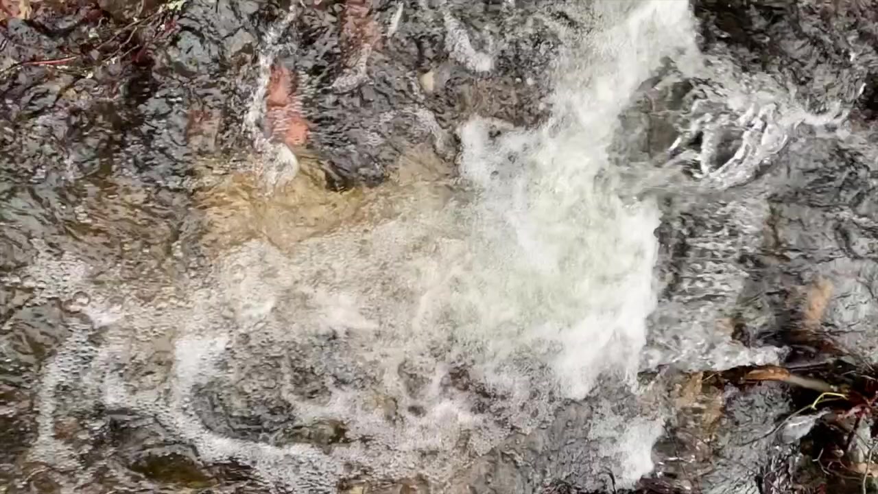 KVRYBY foto 2 (náhled videa)