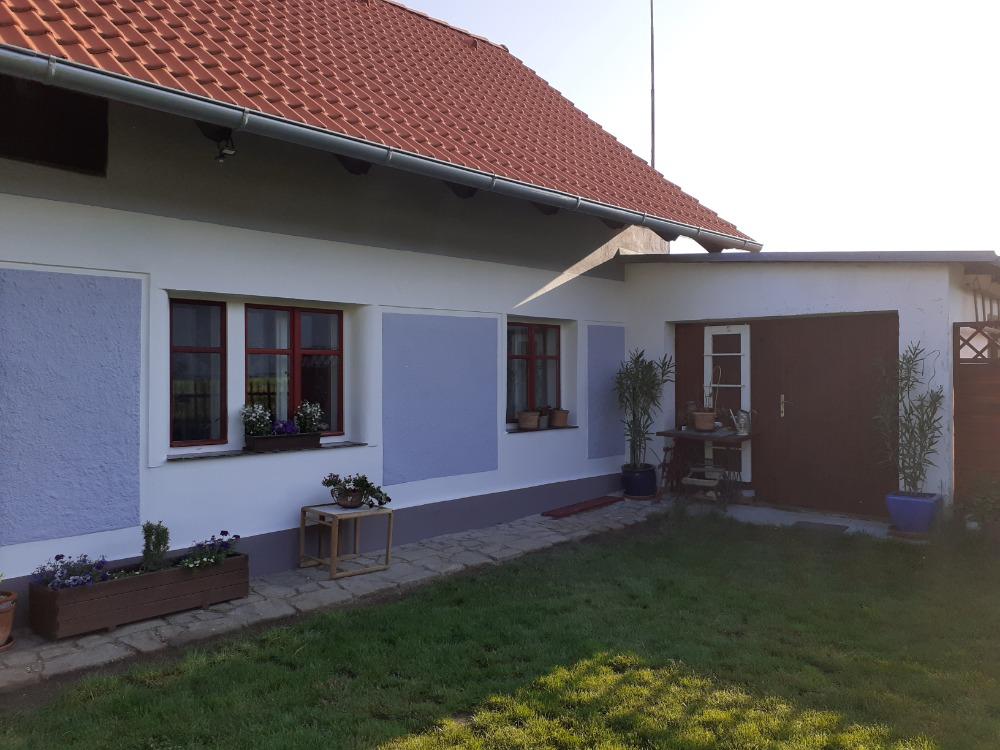 American cocker club z.s. foto 3