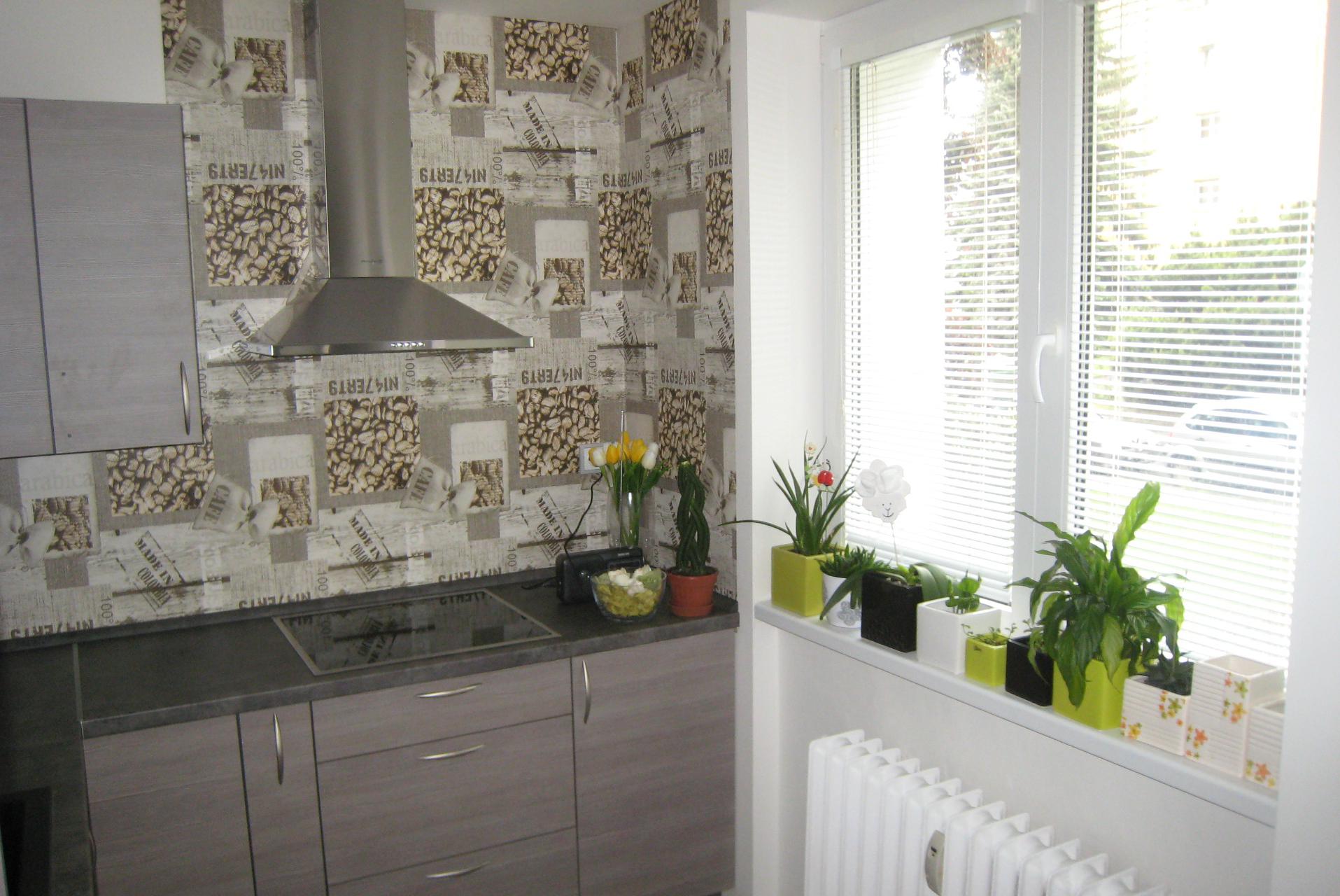 Rekonstrukce OK Olomoucko