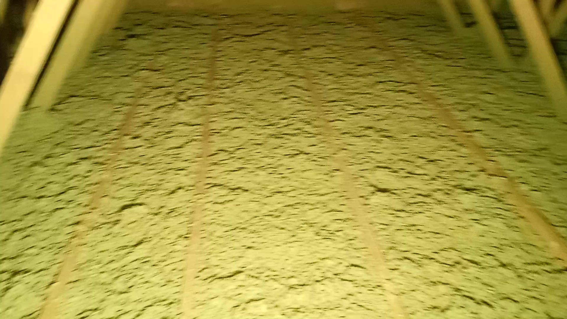 foukani.cz foto 2 (náhled videa)