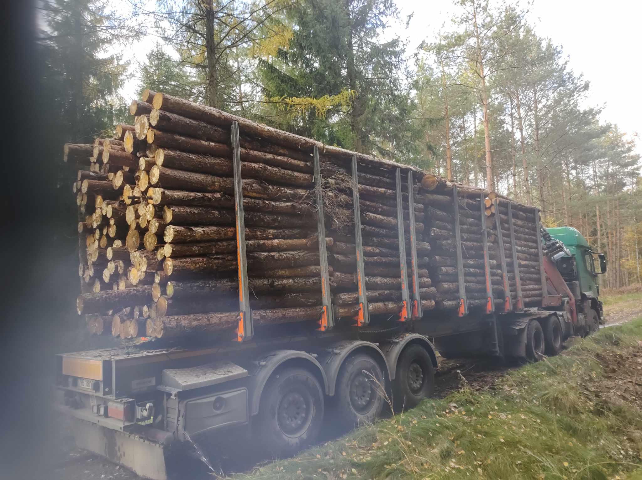 Dřevo Pošík foto 5