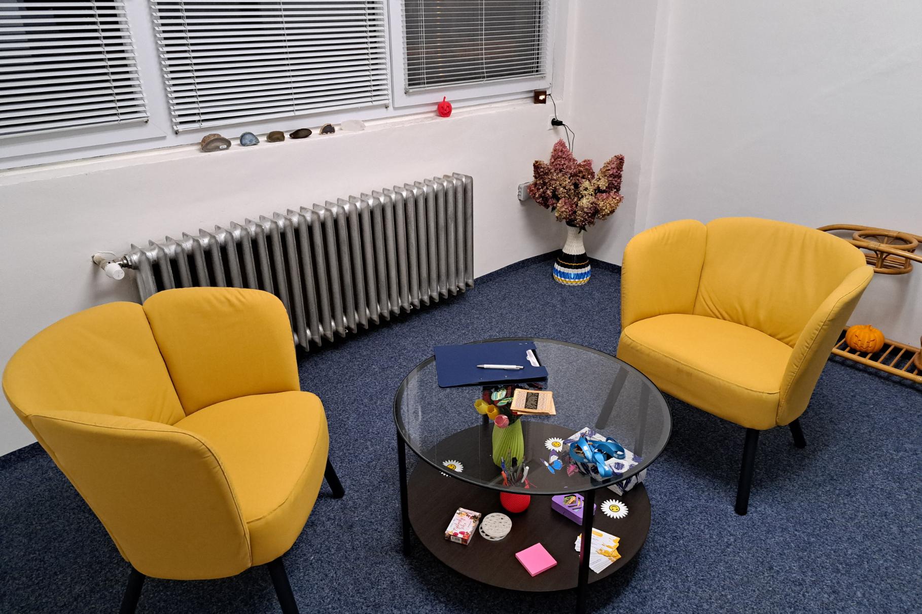 Pozitivní koučink - Zuzana Stehlíková, MBA