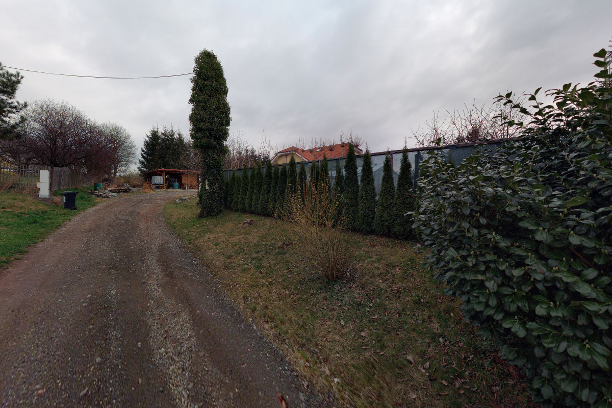 Ibišky zahradní - Zora Hanušová