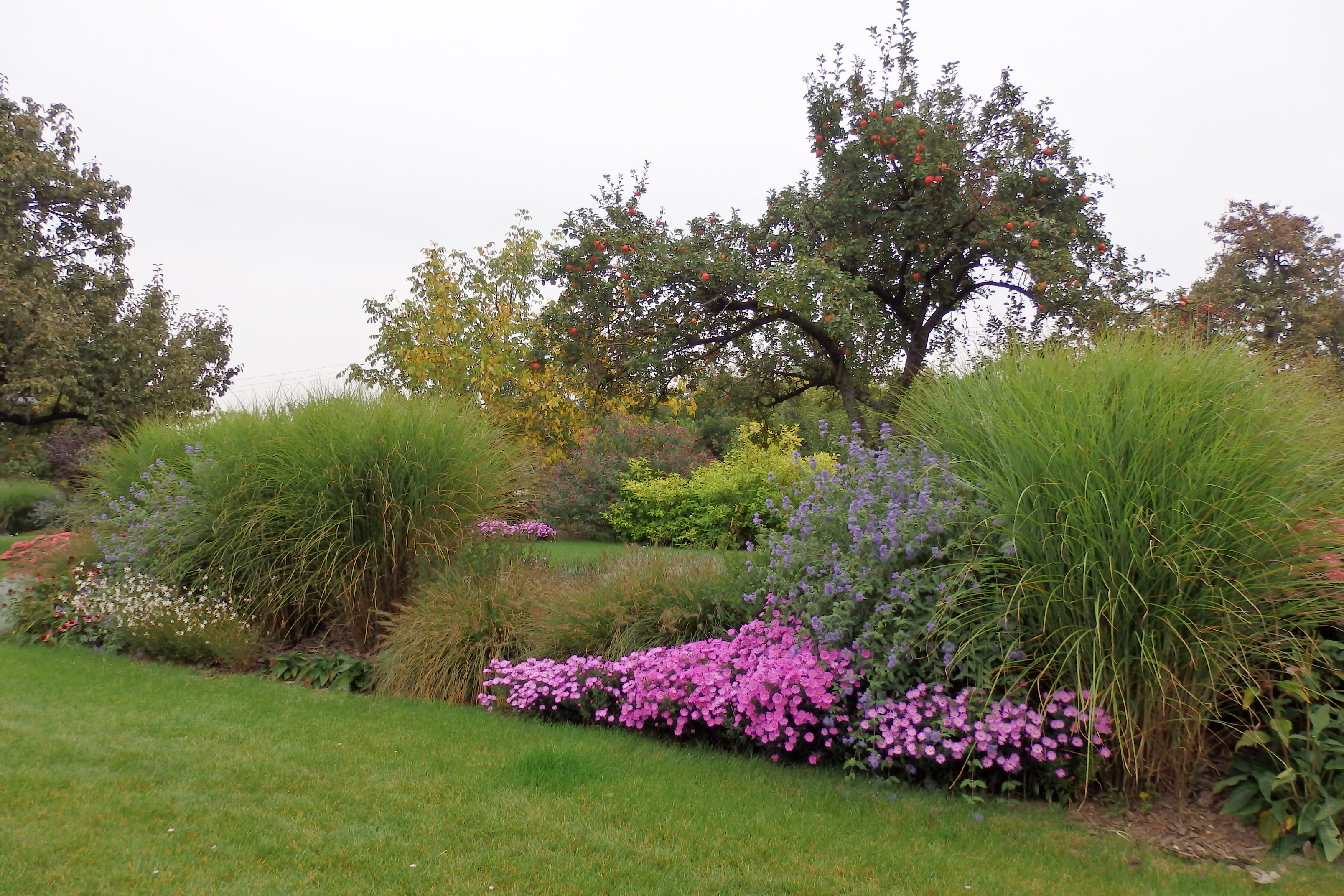 Zahradní a krajinářská architektura  Ing. Markéta Zapletalová
