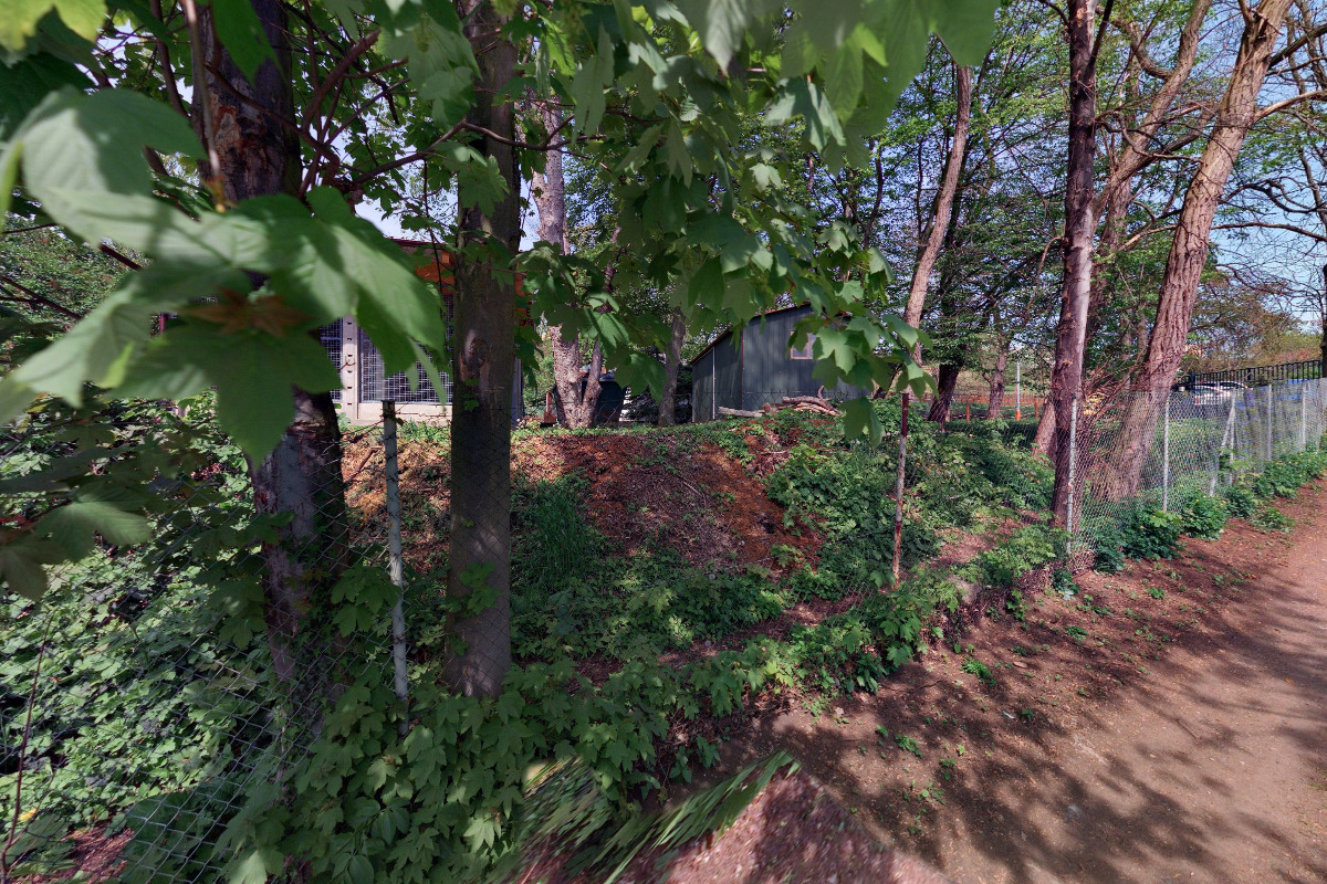 Centrum pro zvířata v nouzi při ZOO Ústí nad Labem foto 2