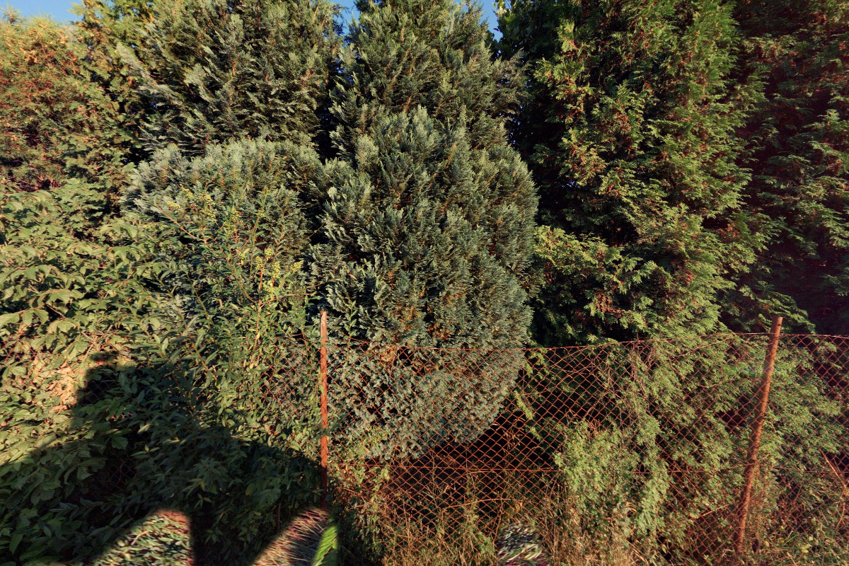 Cfahobby.eshop-zdarma.cz foto 2