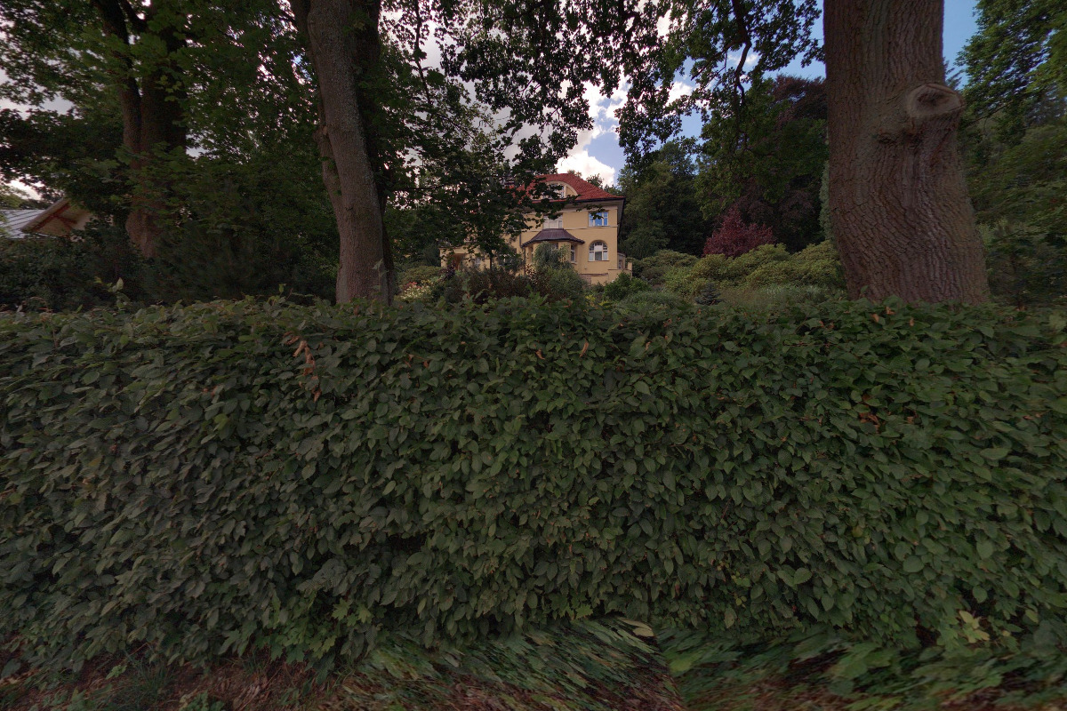 Irena Moore photography