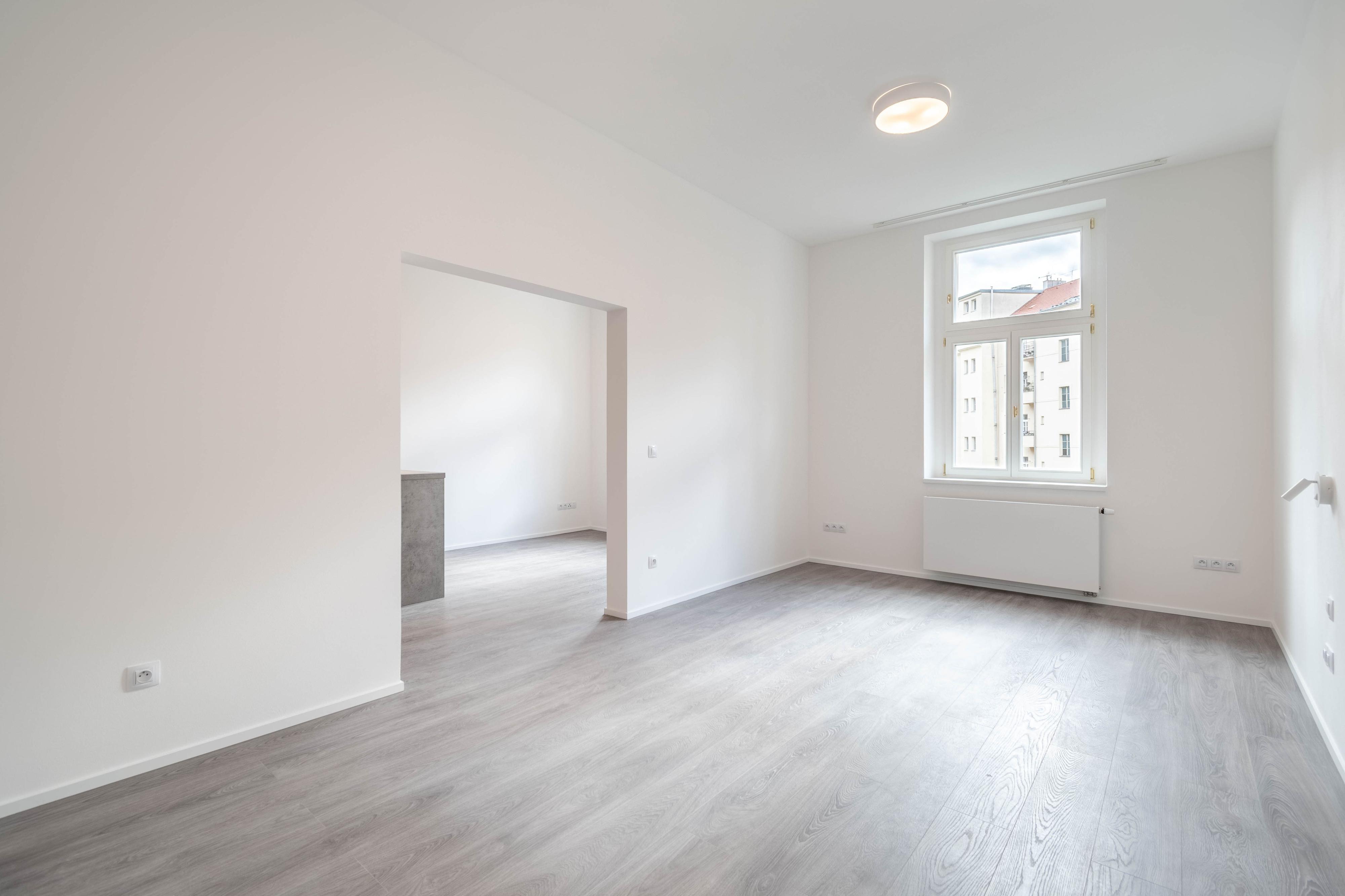 Malování natírání Vrána foto 4