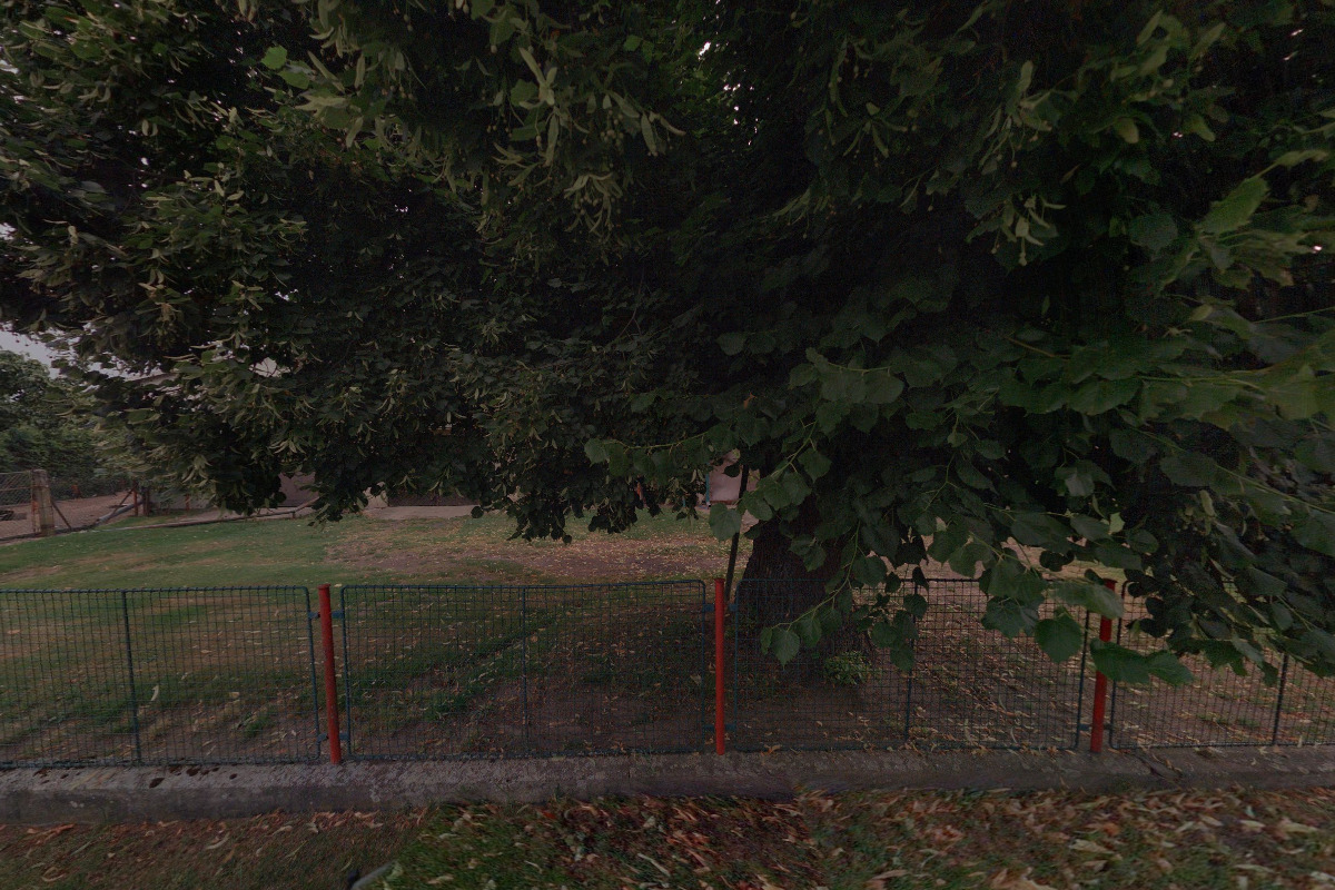 Tělocvičná jednota Sokol Žďárek