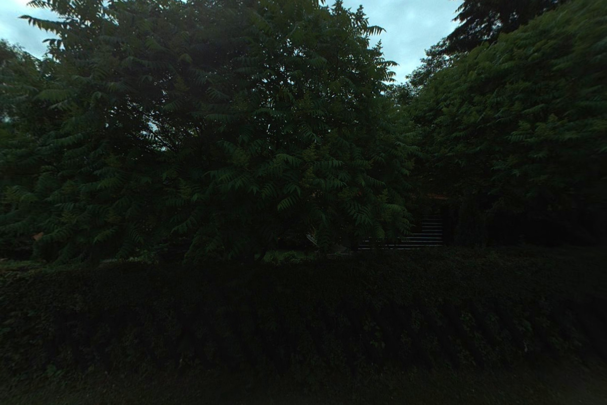 Srubová chata Držková