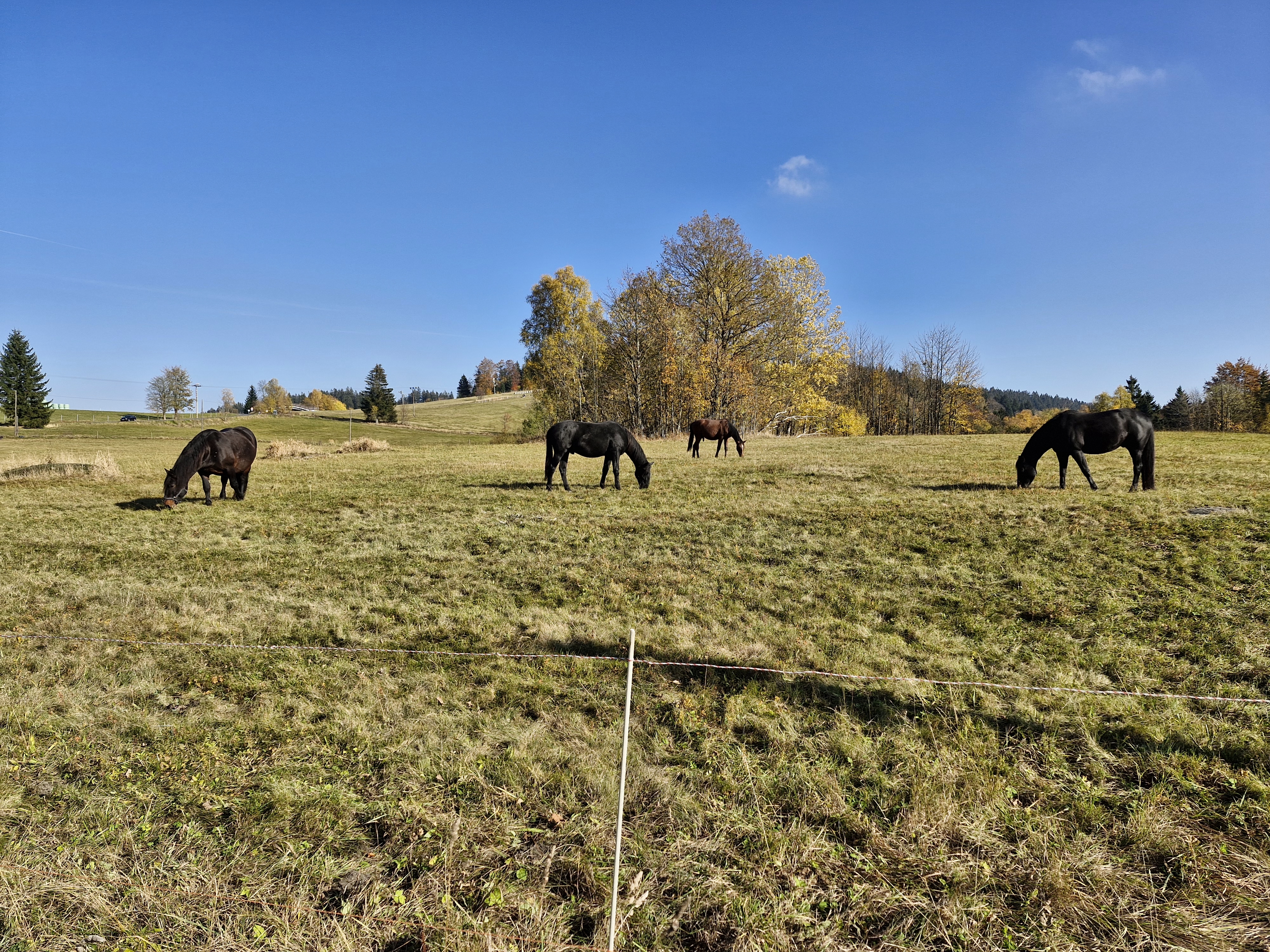 Penzion Semerink foto 6