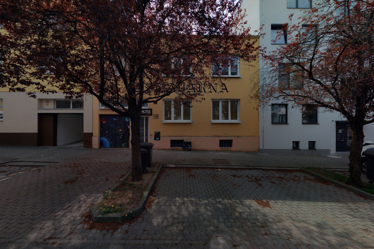 PhDr. Svatava Cekotová foto 2