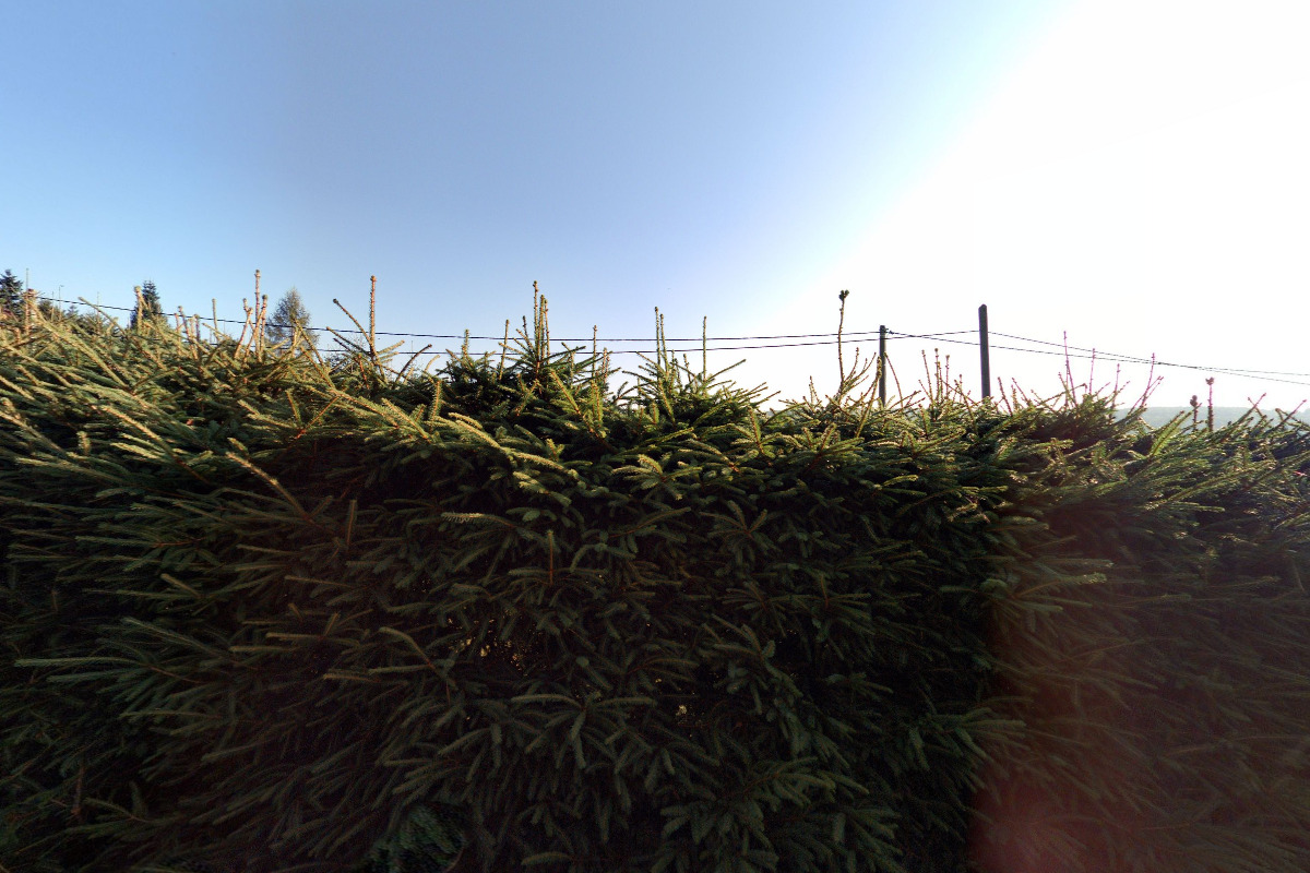 Horská chata Svahová II