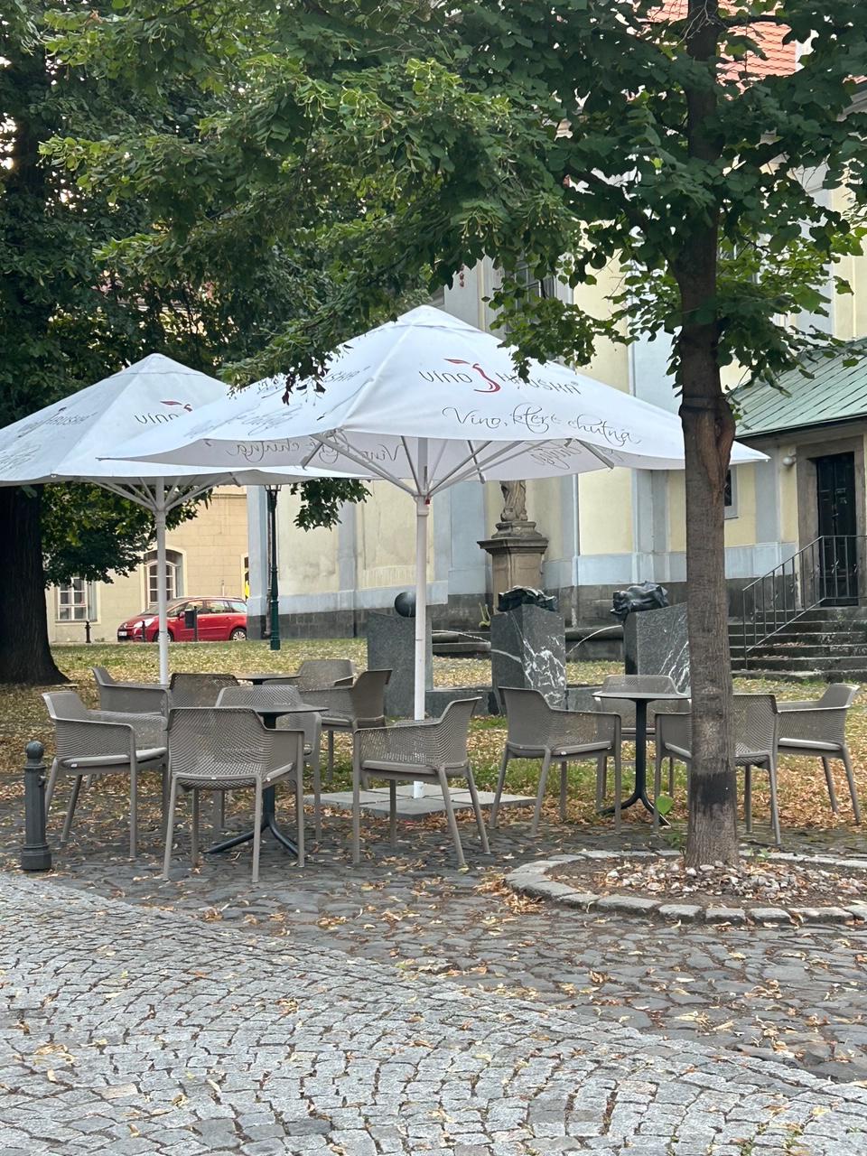 Vinotéka VÍNO HRUŠKA foto 2