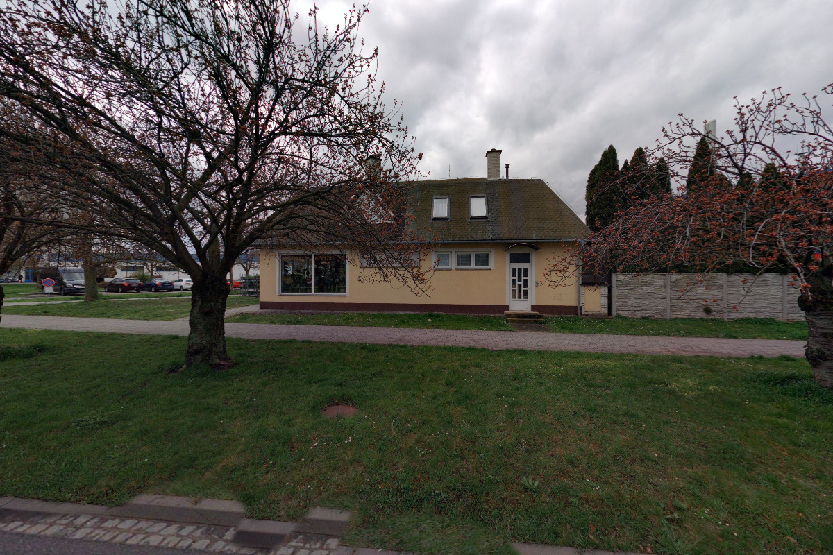 Květinářství Salvia foto 2