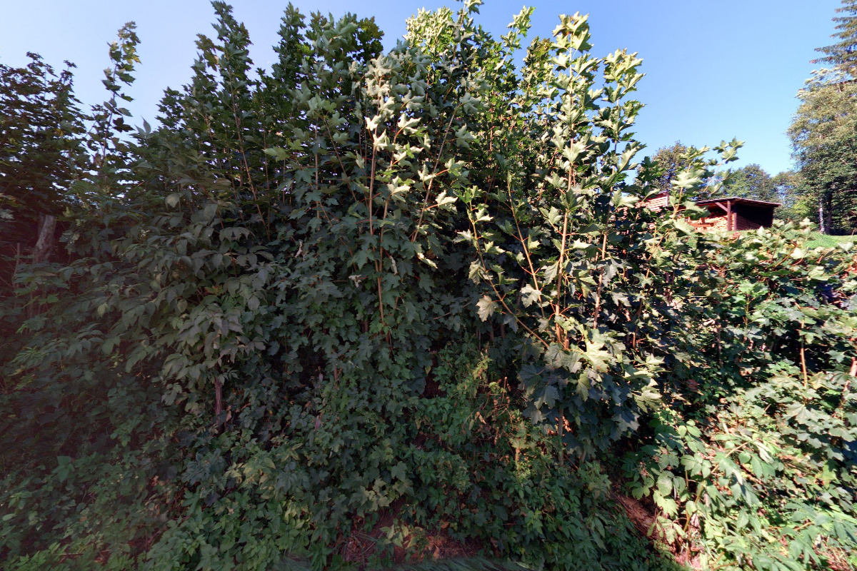 Pštrosí farma Jizerky