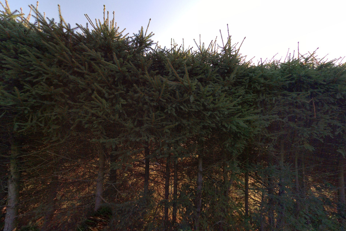 Prázdninový dům Svahová