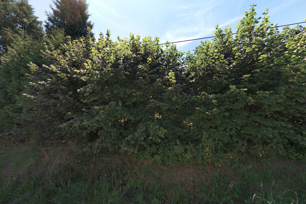 Cyklovozíky Český Ráj foto 2