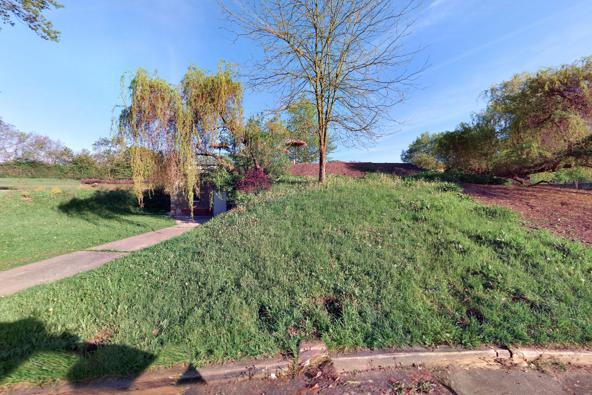 Hakuna matata grill foto 2