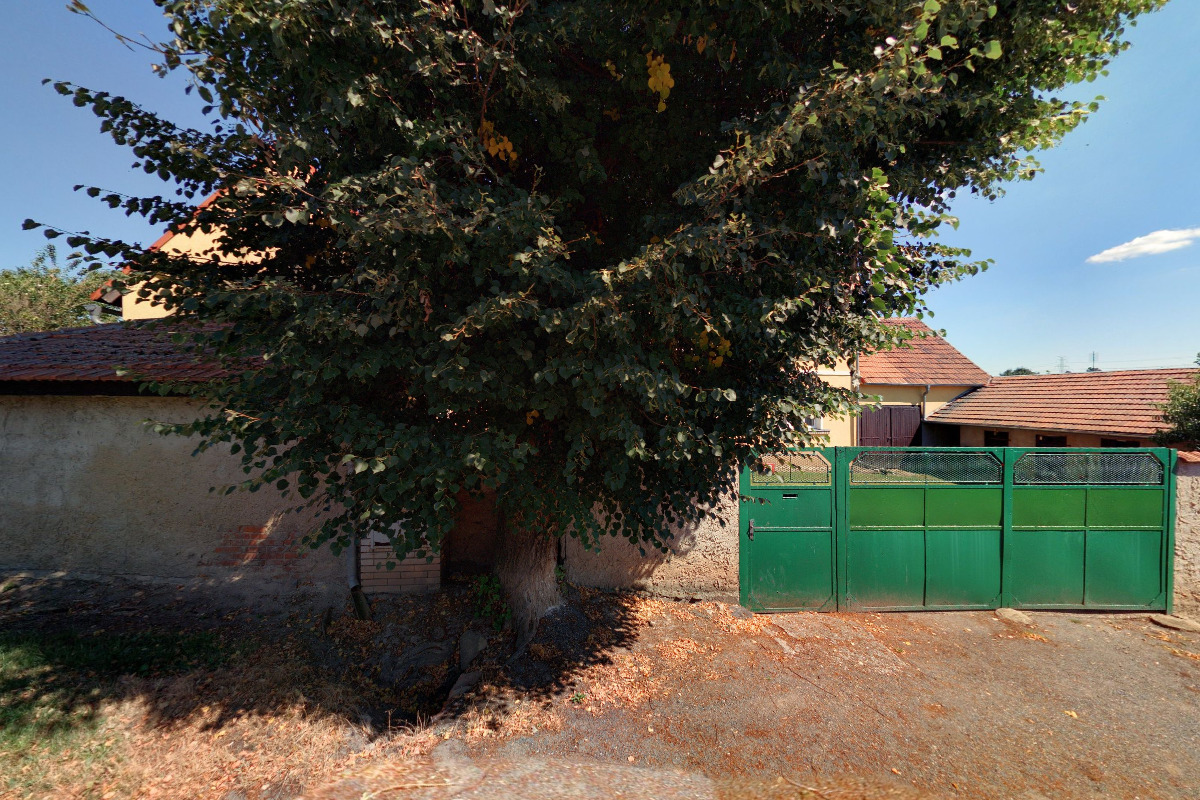 Českomoravský svaz chovatelů poštovních holubů - Místní spolek 053 Peruc