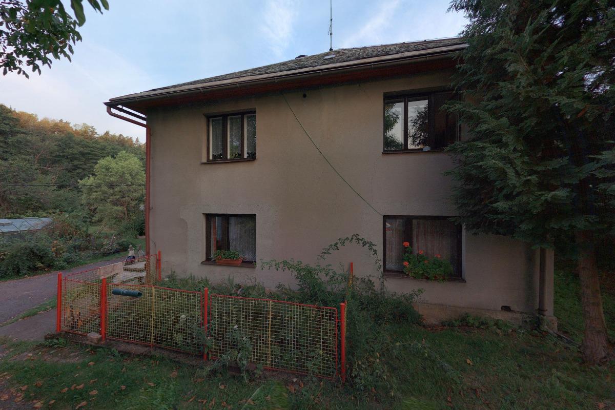 Taxidermy Salaba foto 2