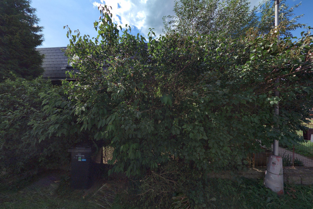 Obecní knihovna Malá Skála