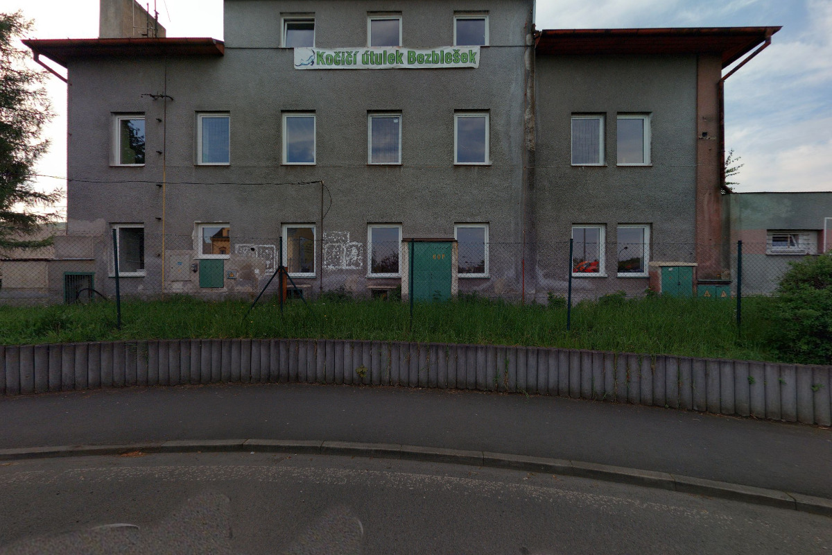 Bruníkův kočičí spolek Bezblešek,z.s. foto 2