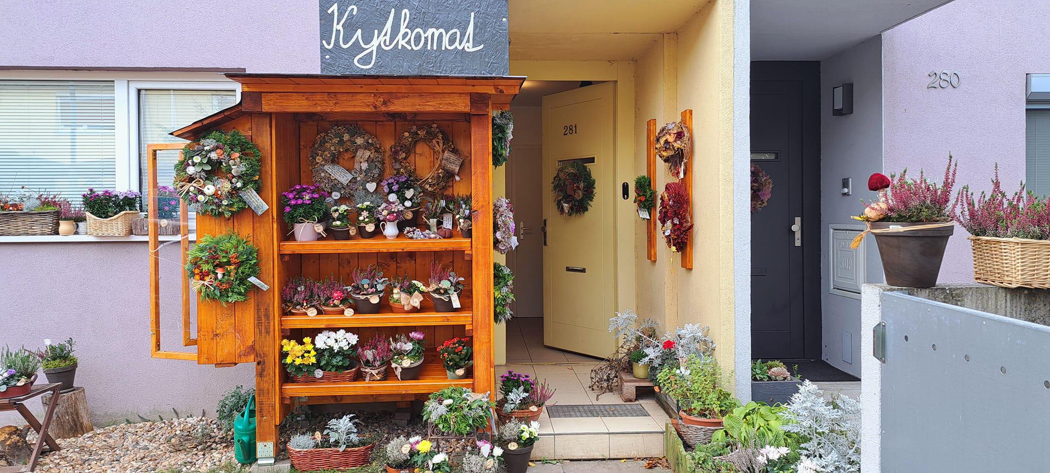 Úsměvná terapie - Kineziologie One Brain foto 5