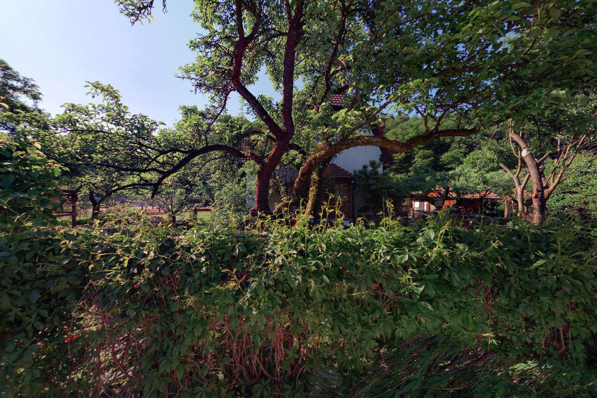 Ing. Gabriela Pešková foto 1