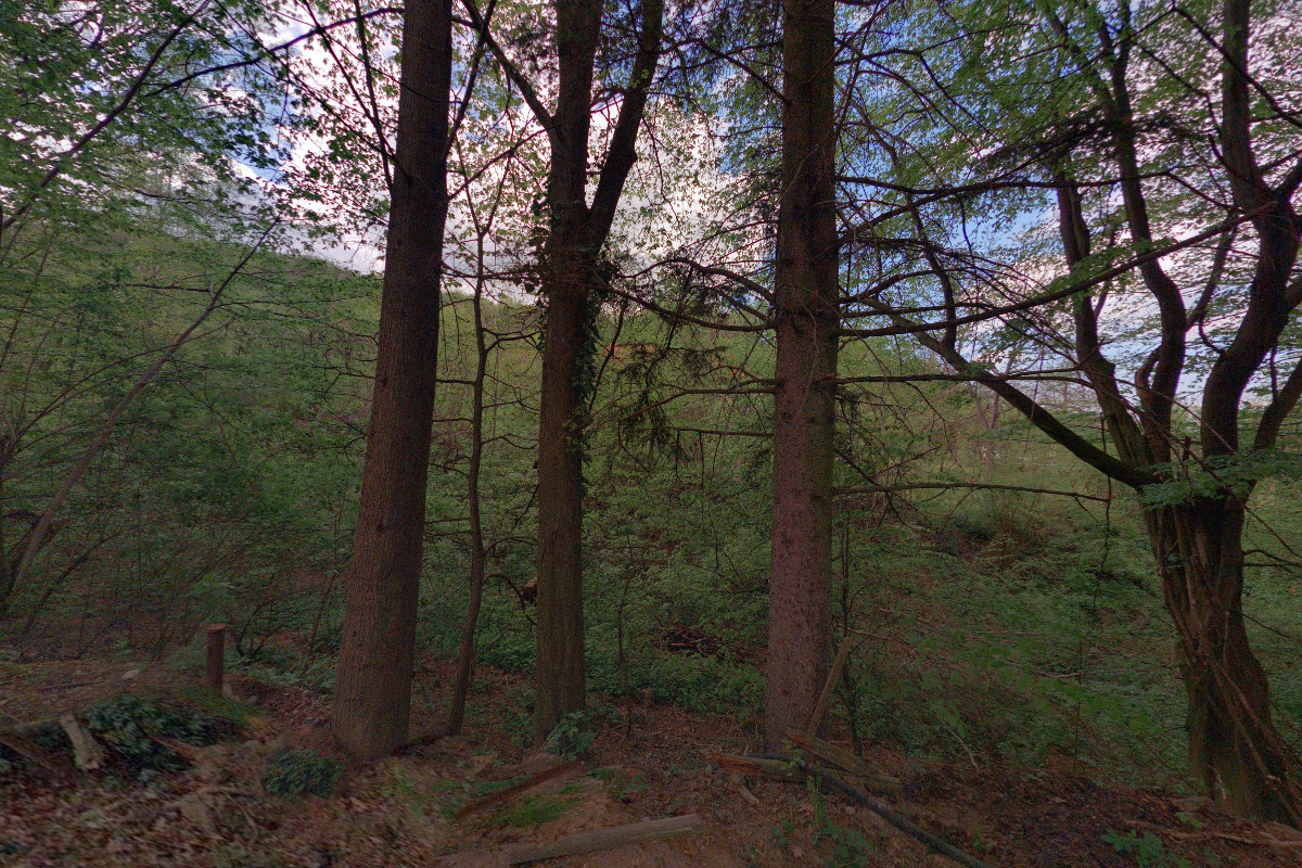 Václav Bača fotograf