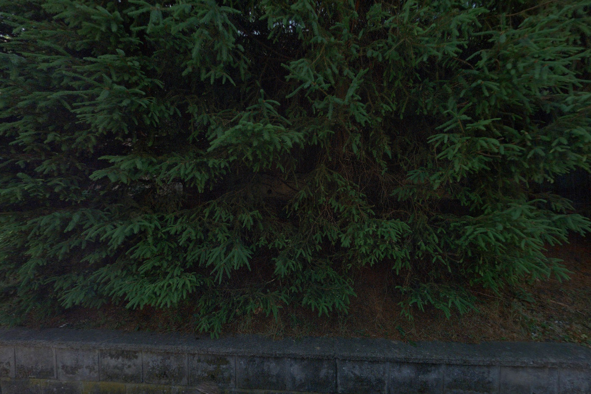 Stavokonzult Eduk, s.r.o. foto 1