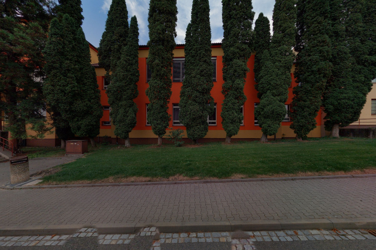 Branný oddíl pplk. J. Bublíka