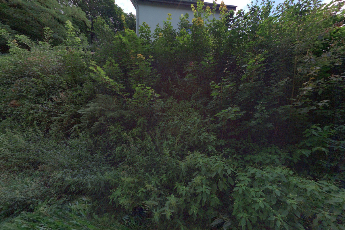 Zdeněk Smutný - SUZE