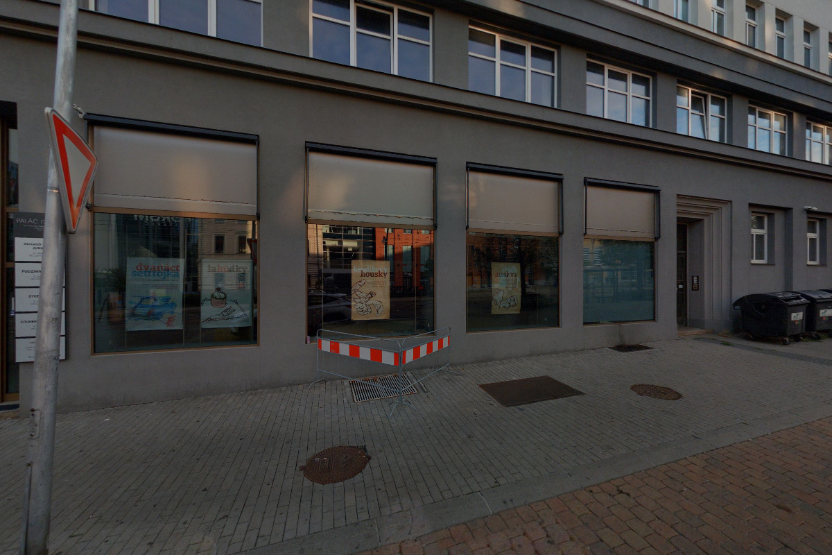 Sonografie, MUDr. Ladislav Endrych, ENVISON, s.r.o. foto 5