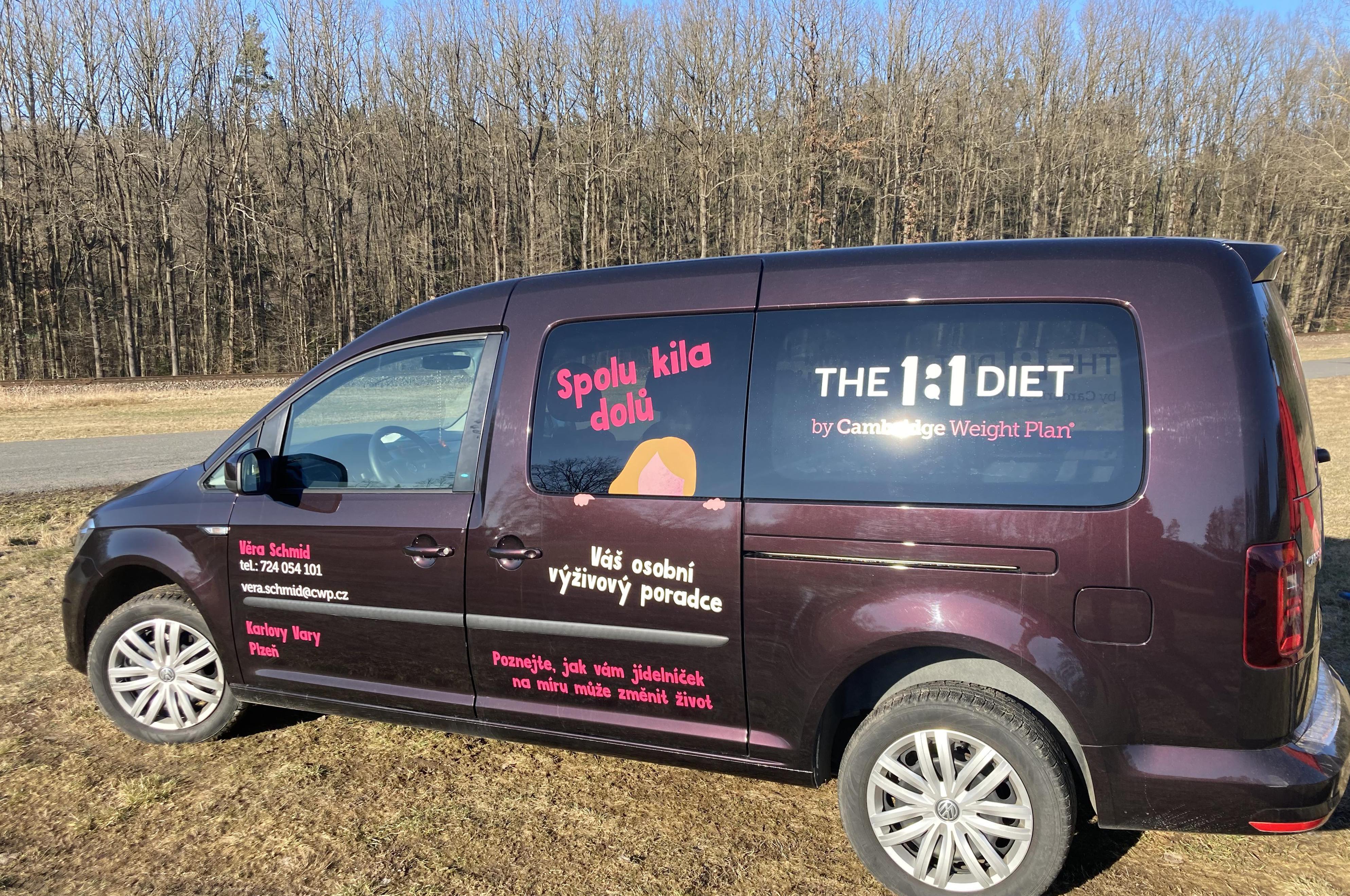 The 1:1 Diet - Věra Schmid