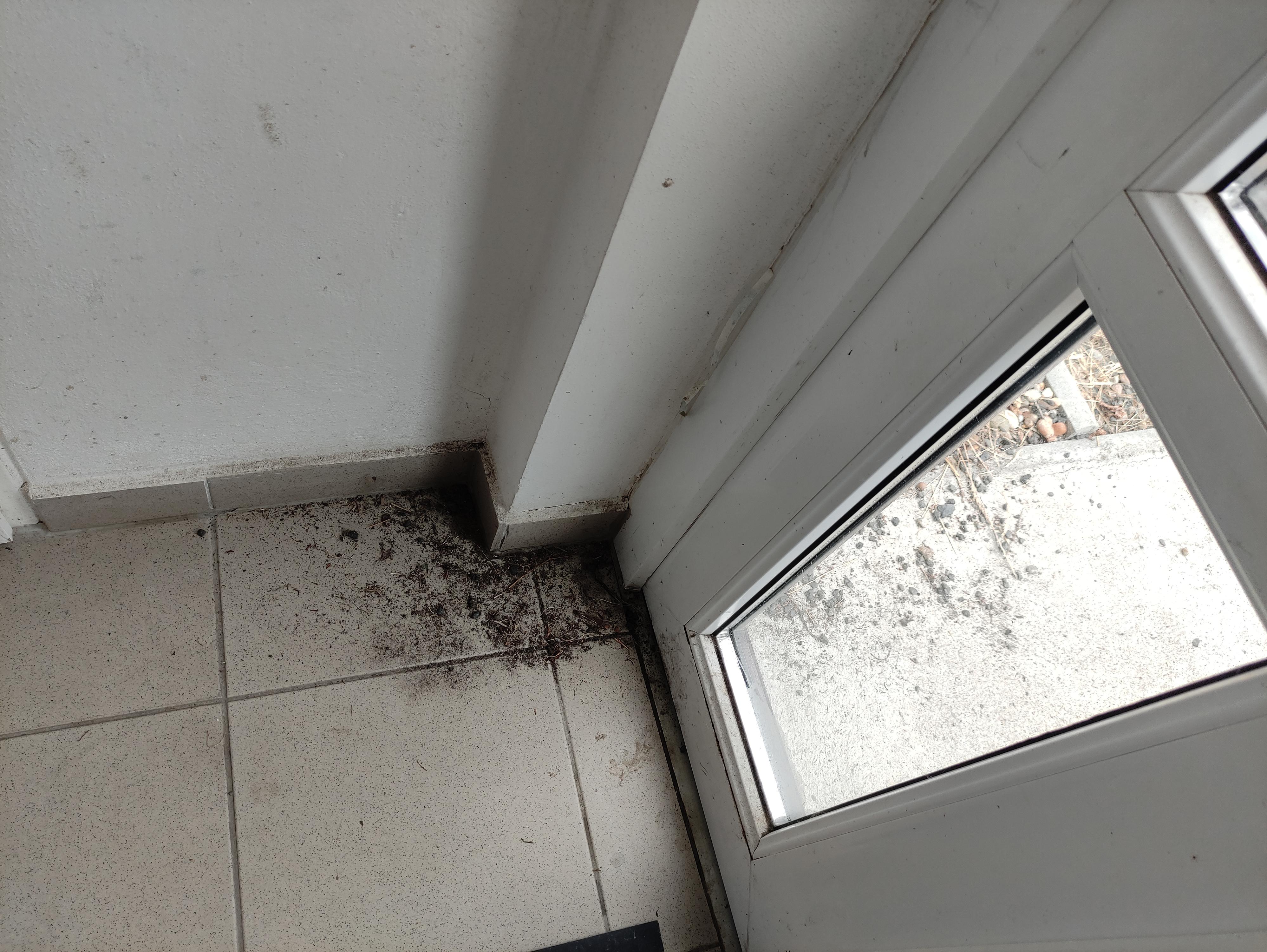 Ubytování na konci ulice foto 5