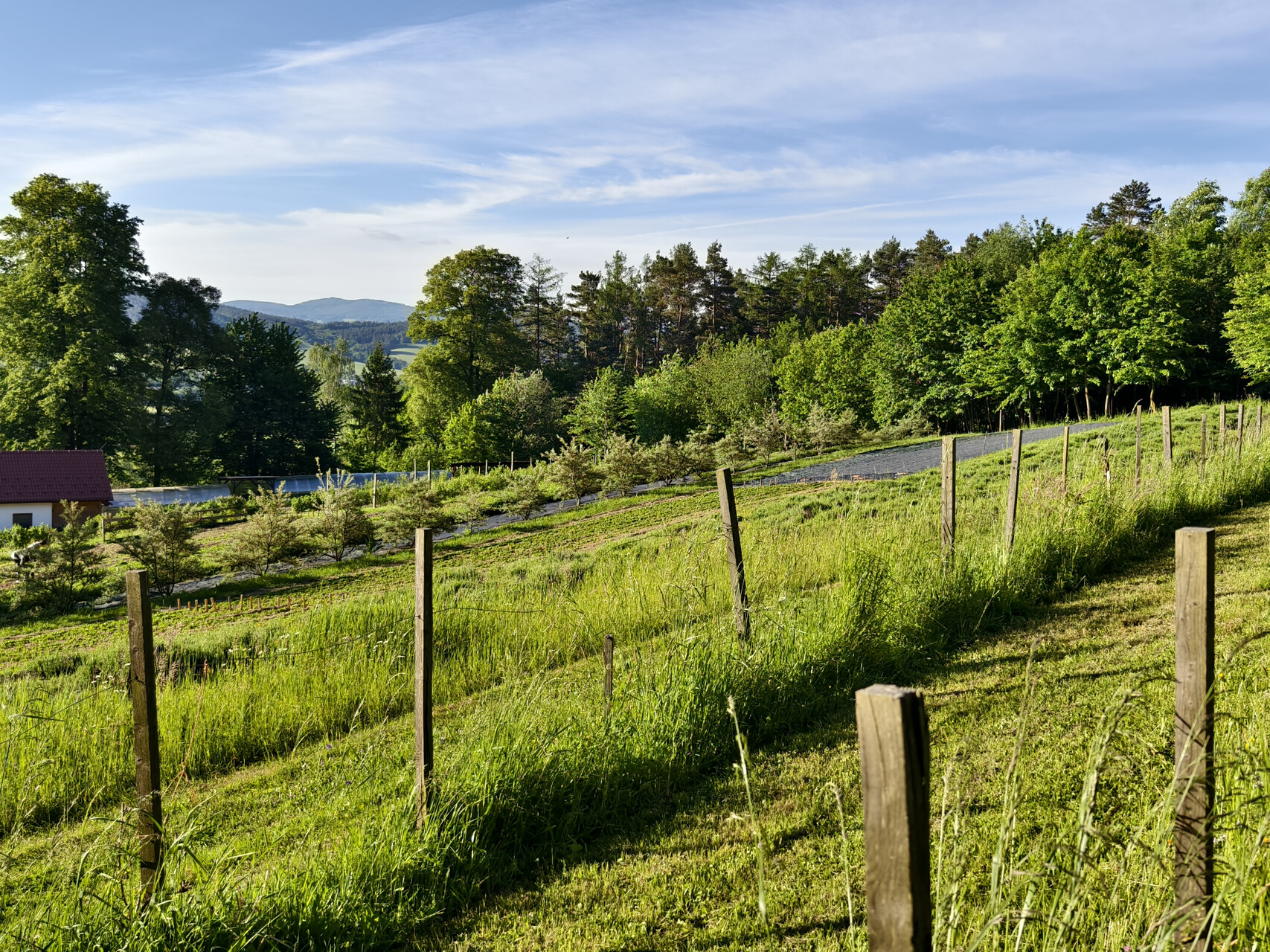 Farma KVĚTOMLUVA foto 4