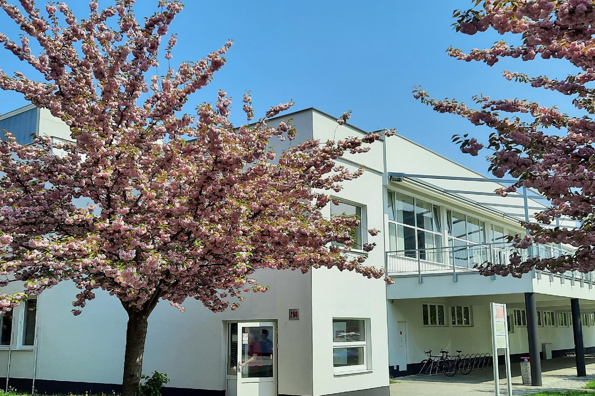 Vysokoškolská menza Univerzity Pardubice