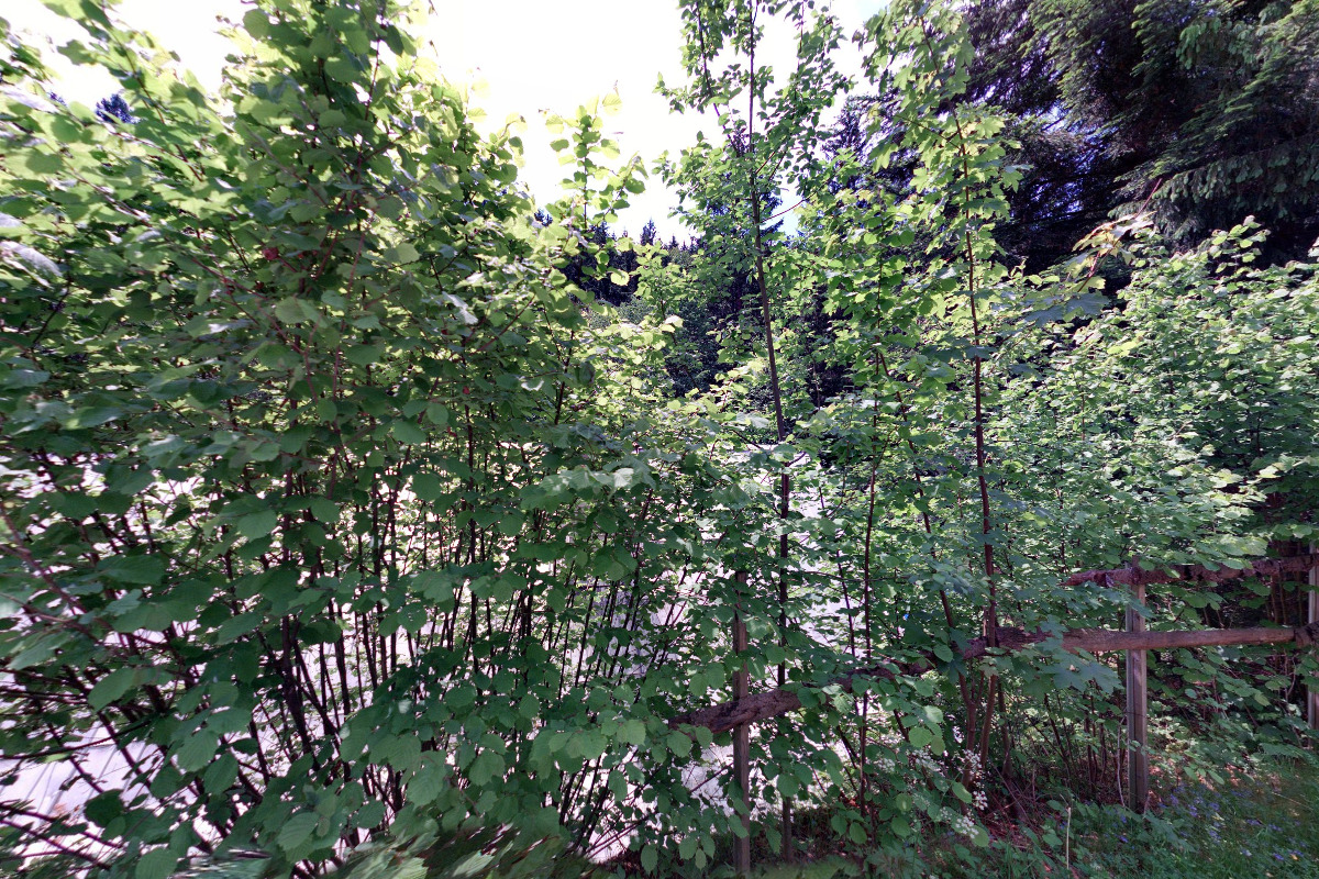 Chalupa Horní Rozpité