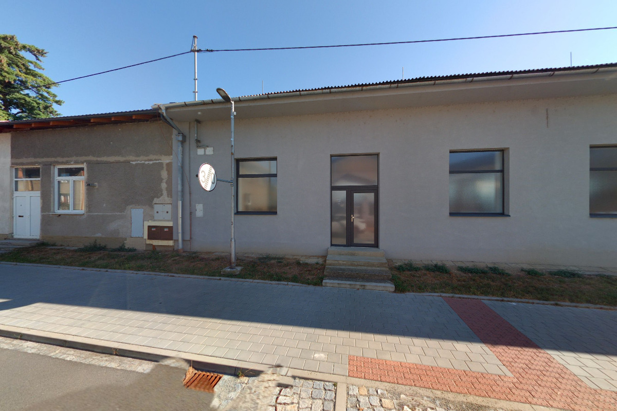 Dana Svobodová foto 2