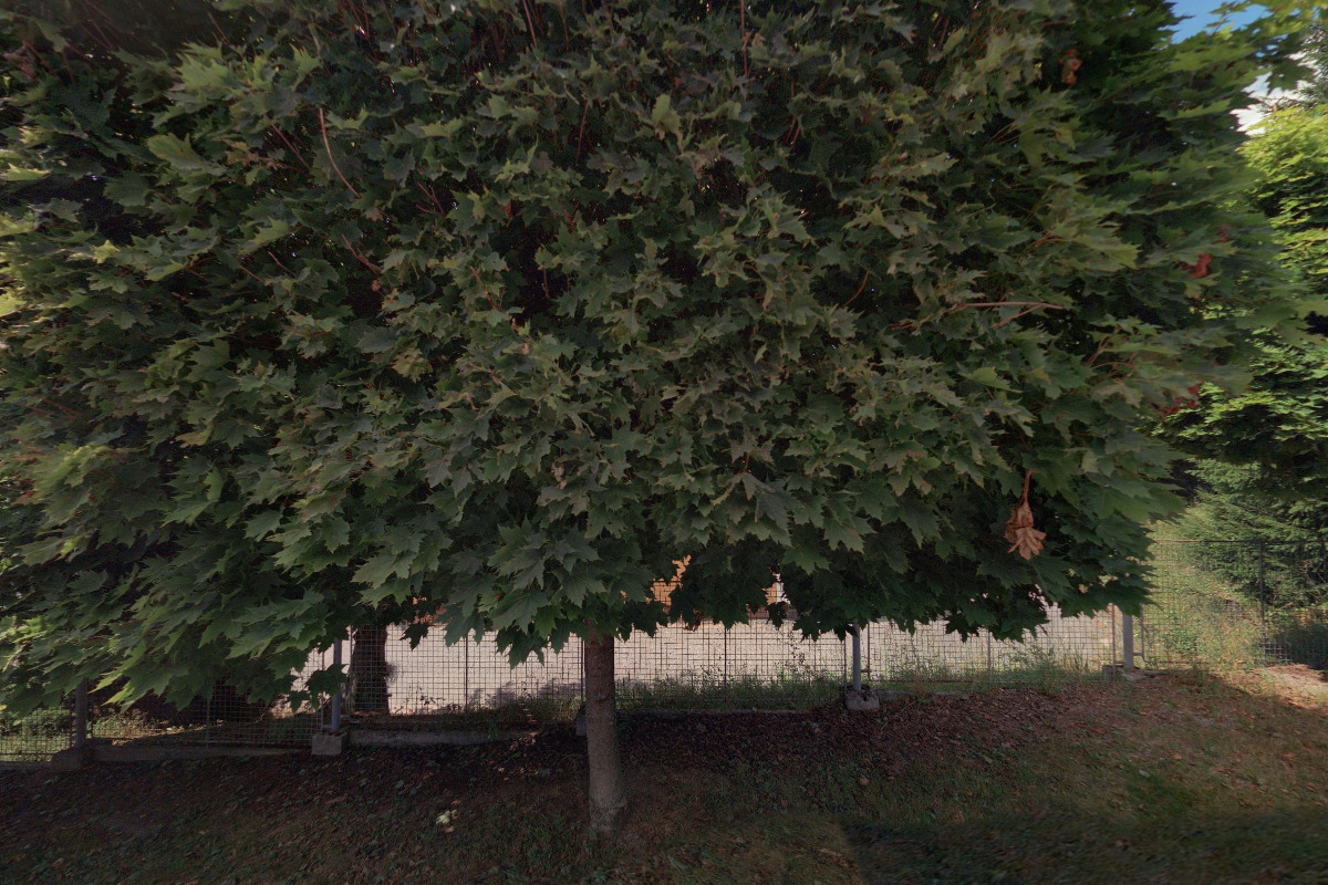 MŠ Rychnov u Jablonce nad Nisou