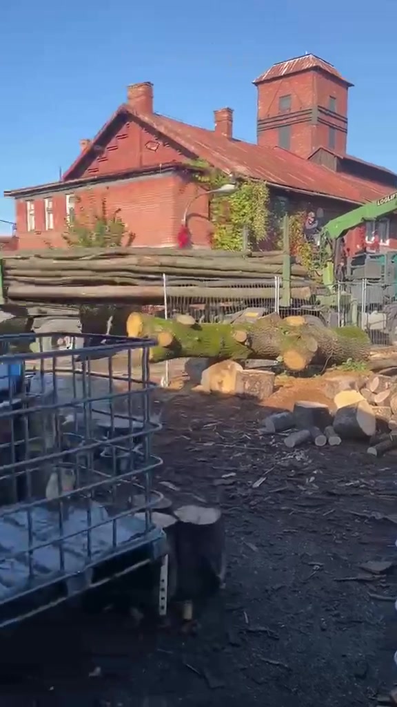 Janovo Dřevo foto 2 (náhled videa)