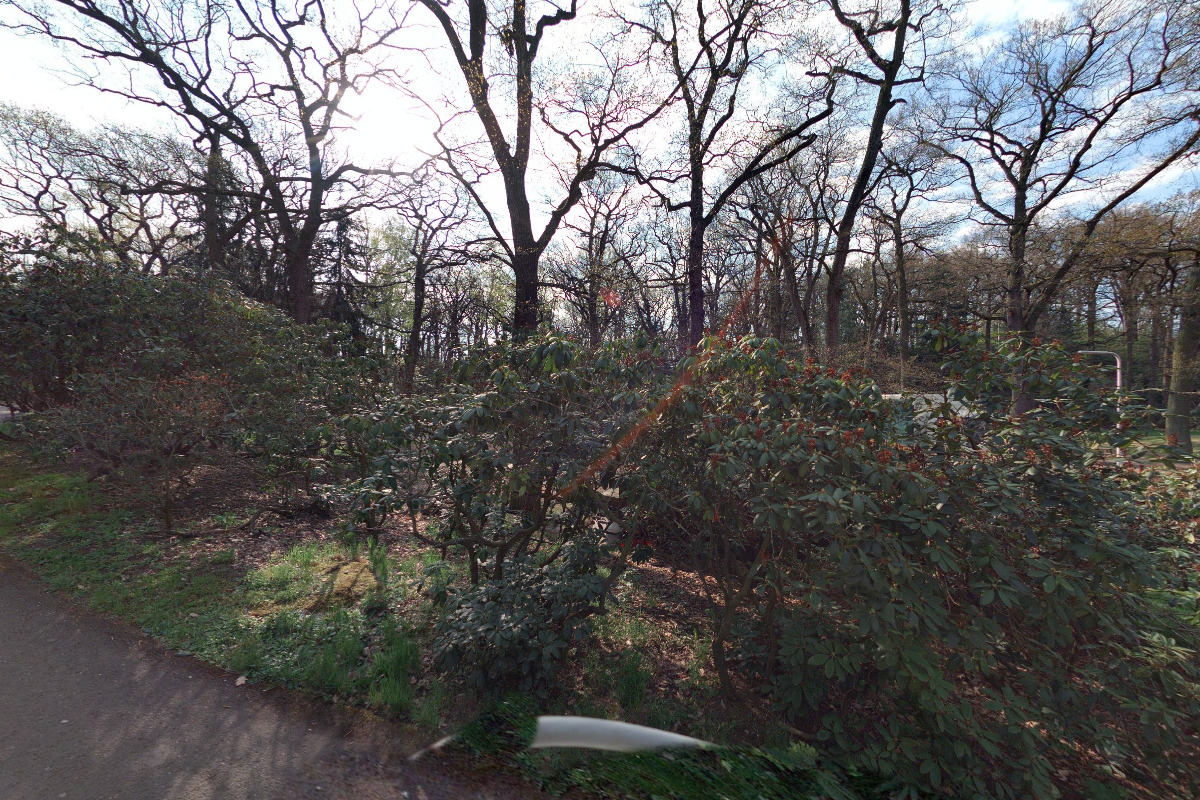 Občerstvení Zoopark Chomutov - u ldětské anové dráhy foto 1