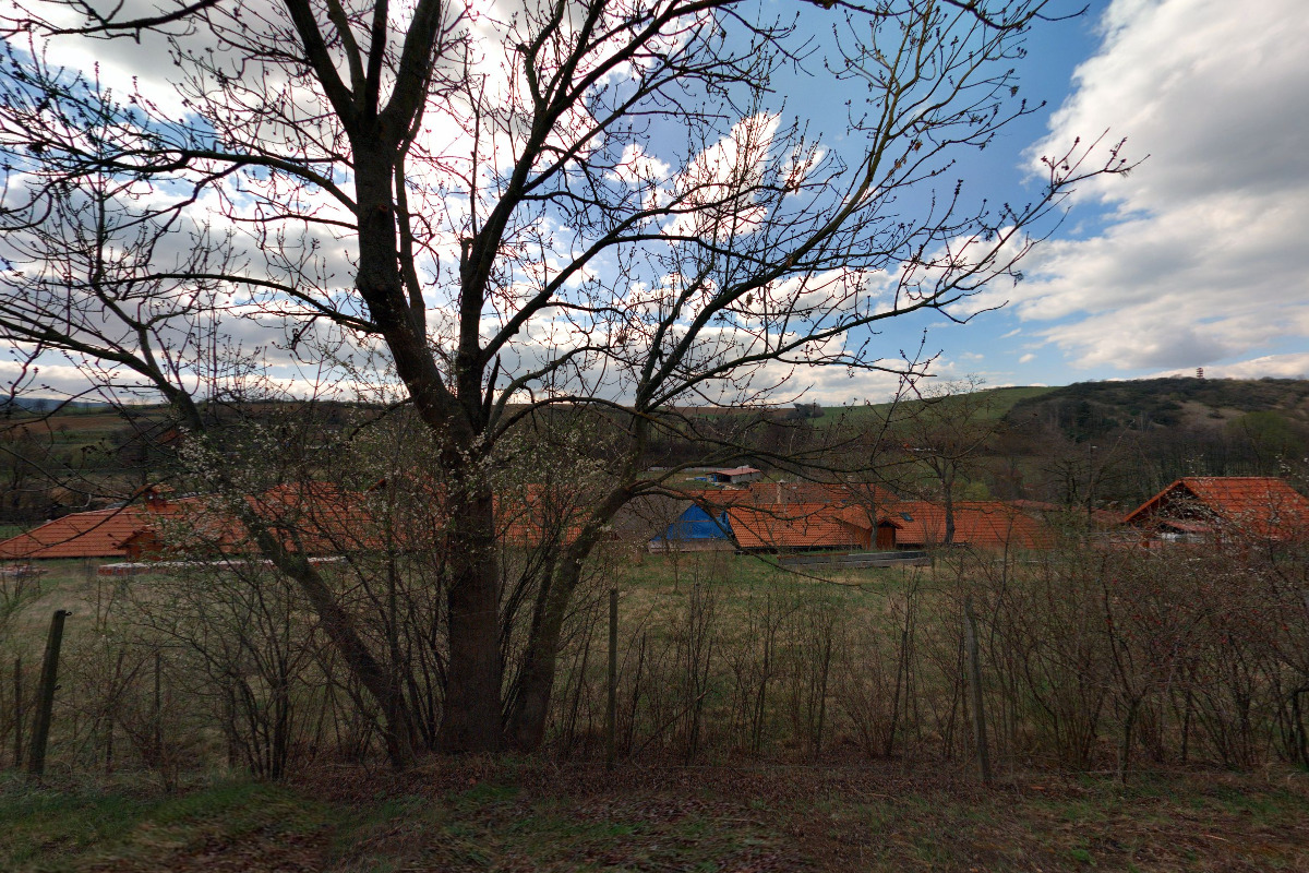 Svaz chovatelů a příznivců moravského teplokrevníka